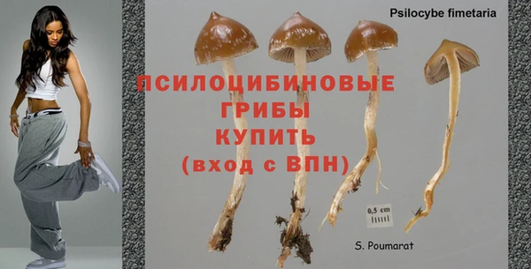 шишки Алексеевка