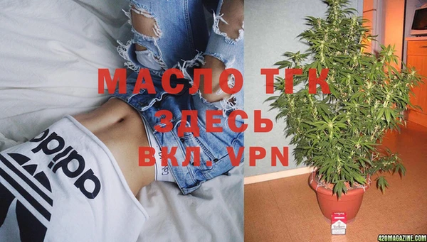 индика Киренск