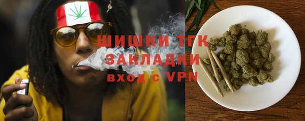 шишки Алексеевка