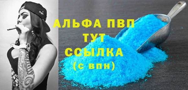 индика Киренск
