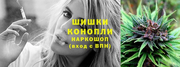 шишки Алексеевка