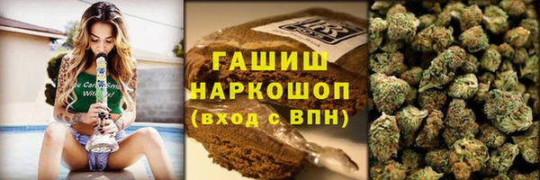 сатива Алзамай