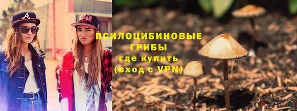 шишки Алексеевка