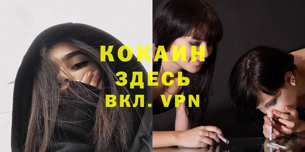 молекула духа Кинешма