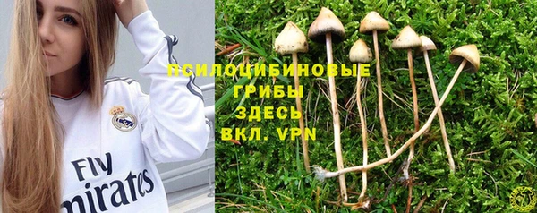 молекула духа Кинешма