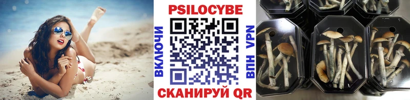 Галлюциногенные грибы ЛСД  МЕГА tor  Новая Ладога  это наркотические препараты  закладка 